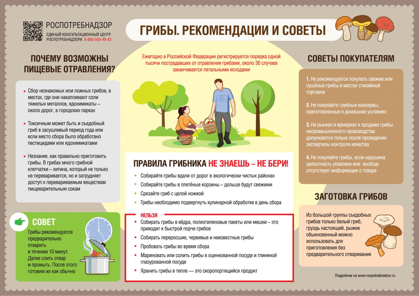 Меры профилактики отравлений грибами | 20.08.2021 | Новости Иваново -  БезФормата